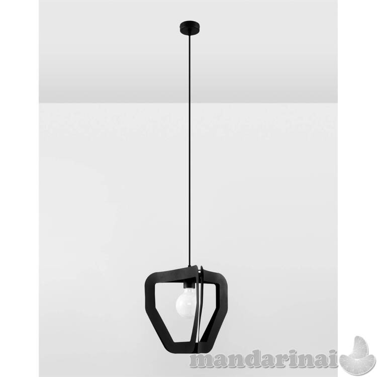 Pakabinama lempa juoda