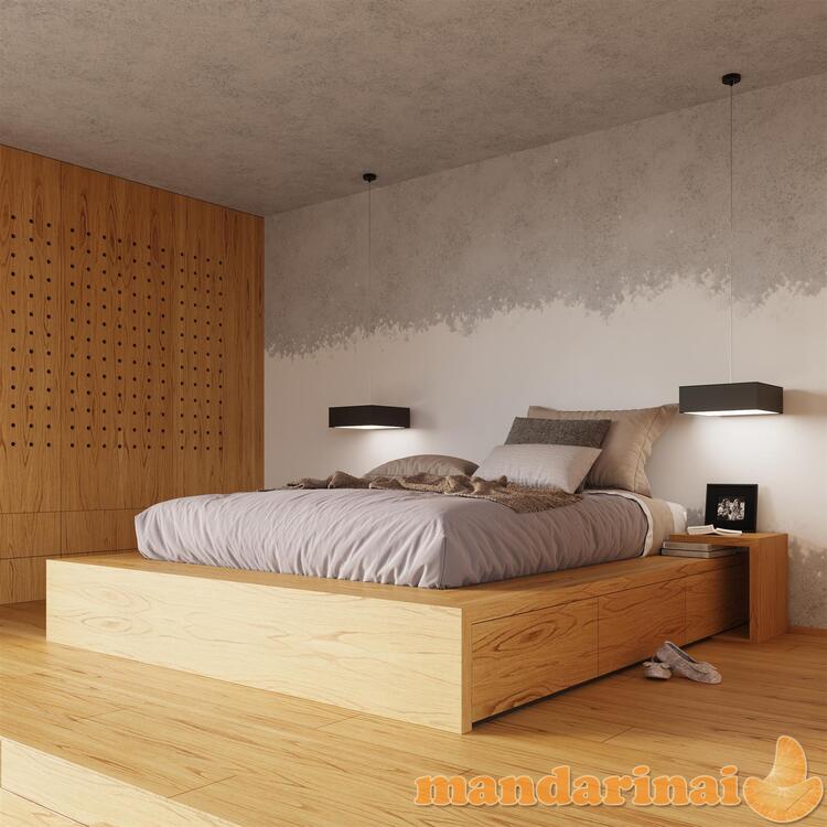 Lubinis šviestuvas horo 55 juodas 6