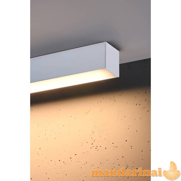 Lubinis šviestuvas PINNE 67 baltas 4