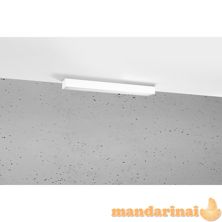 Lubinis šviestuvas PINNE 67 baltas