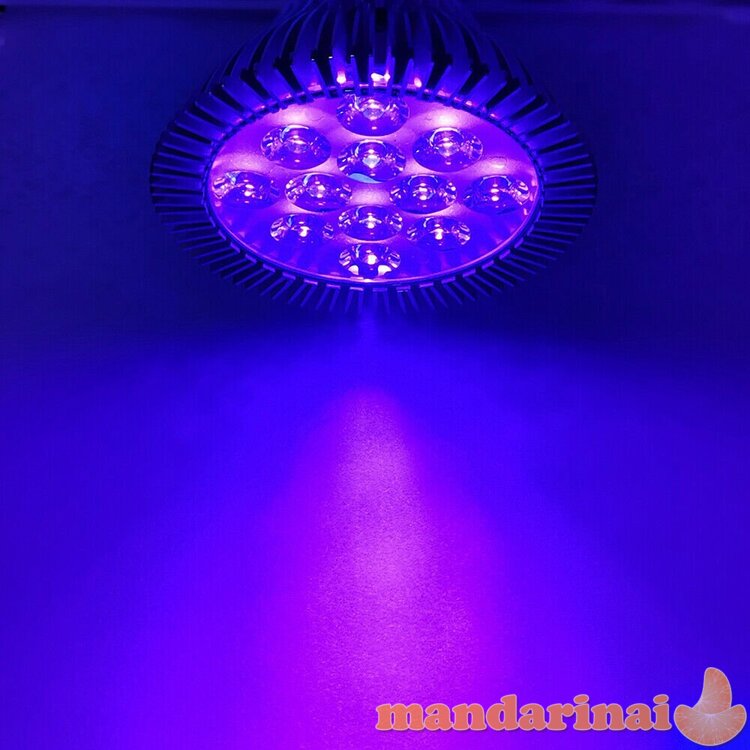 Dezinfekcinė ultravioletinių spindulių lempa 36W, E27