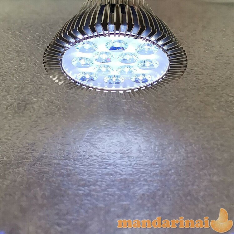 Dezinfekcinė ultravioletinių spindulių lempa 36W, E27