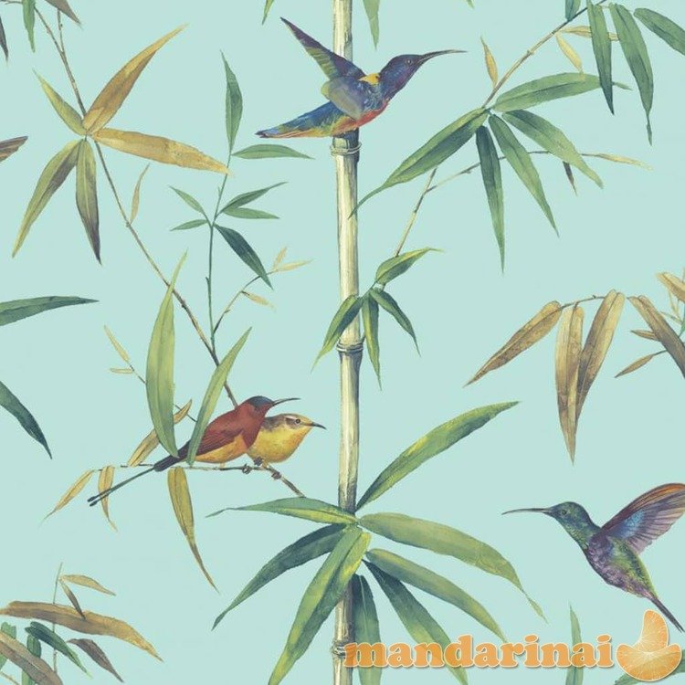 Noordwand tapetai kolibri and bamboo, turkio spalvos