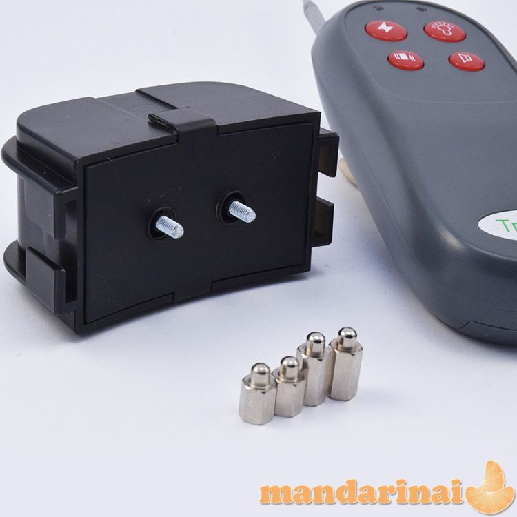 Elektrinis antkaklis dresūrai