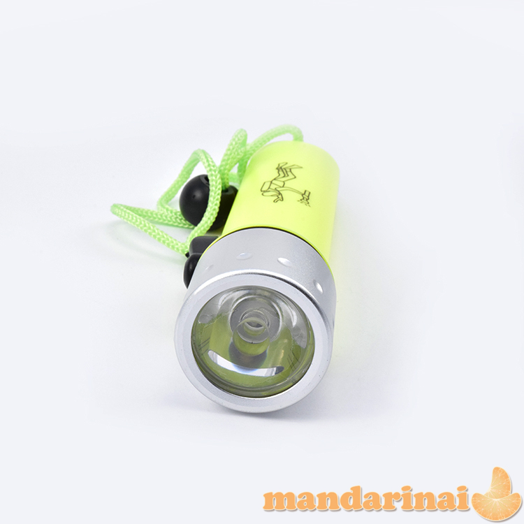 Prožektorius nardymui