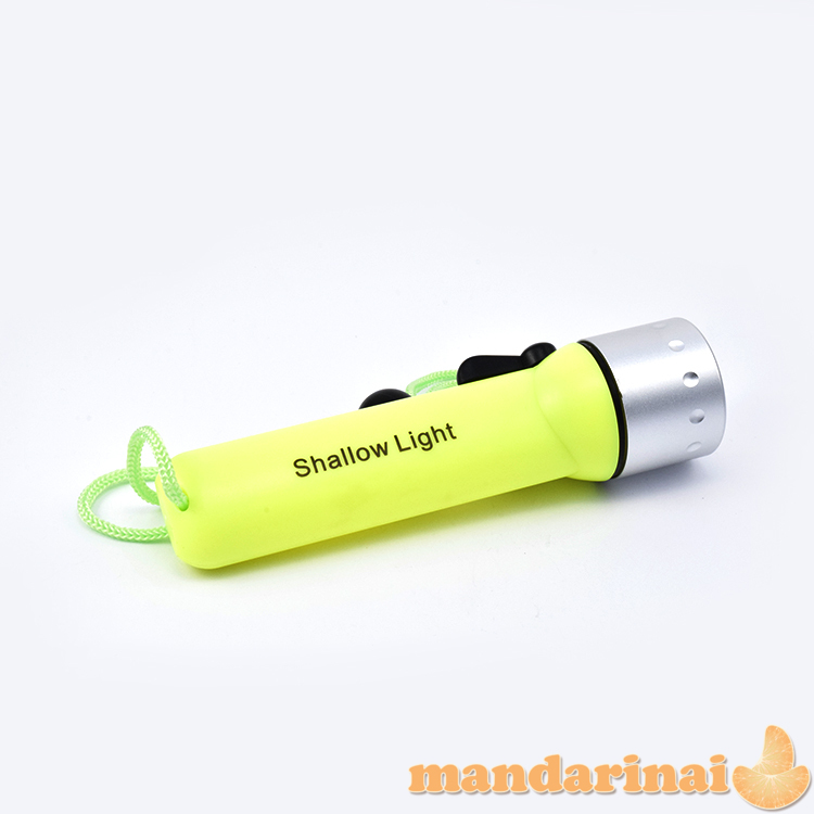 Prožektorius nardymui