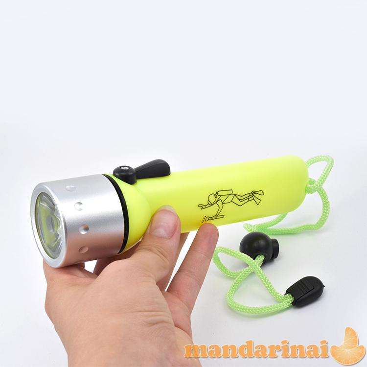 Prožektorius nardymui