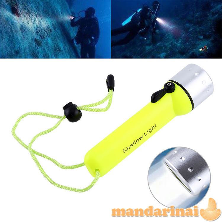 Prožektorius nardymui