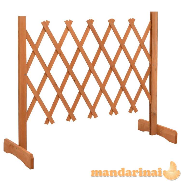 Sodo treliažas-tvora, oranžinis, 120x60cm, eglės masyvas