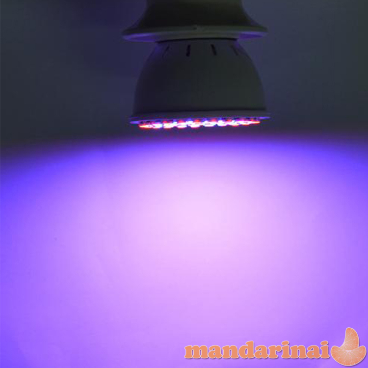 Pilno spektro 12W lempa augalų auginimui