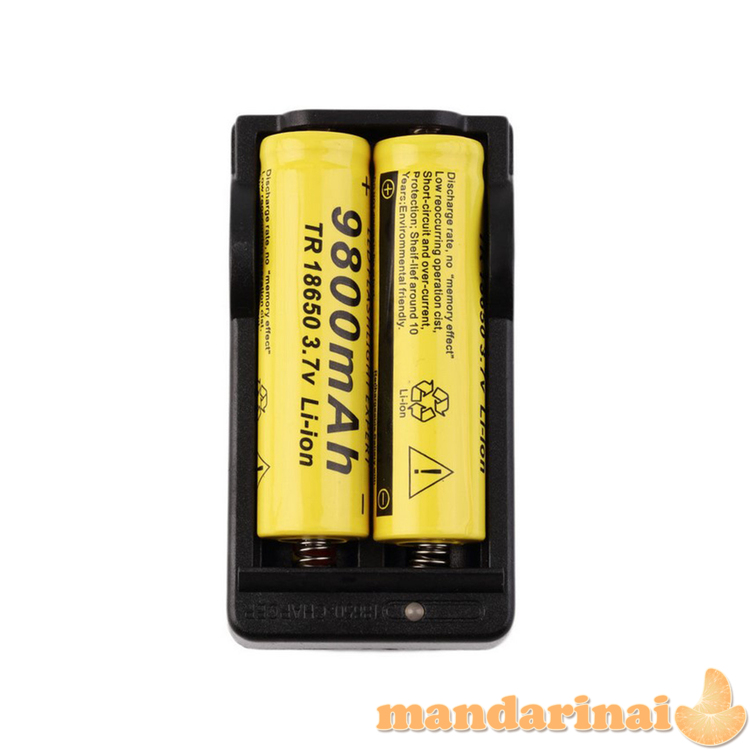 2 vietų 18650 baterijų - akumuliatorių pakrovėjas