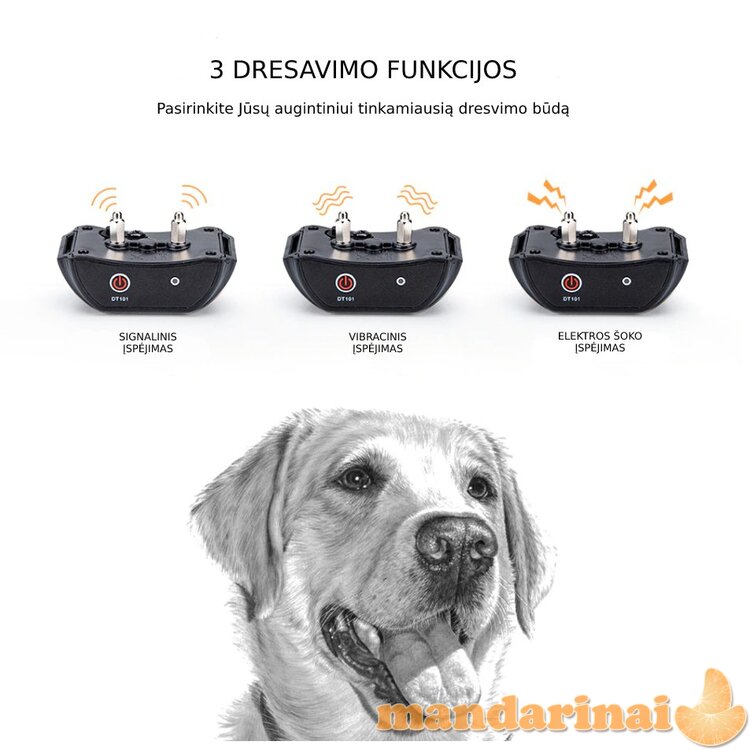 Dresavimo sistema šunims