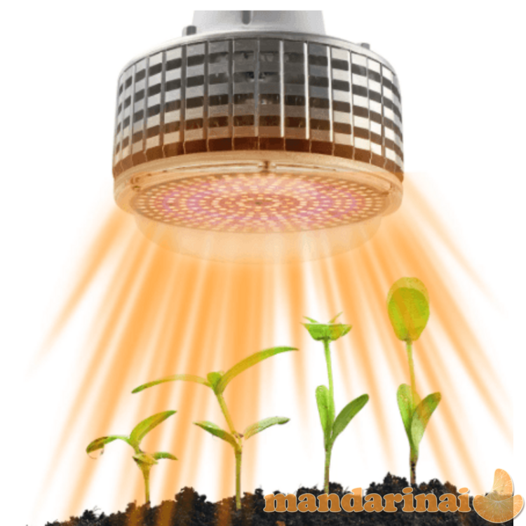 Didelio galingumo 100W lempa