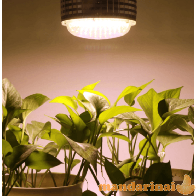 Didelio galingumo 100W lempa