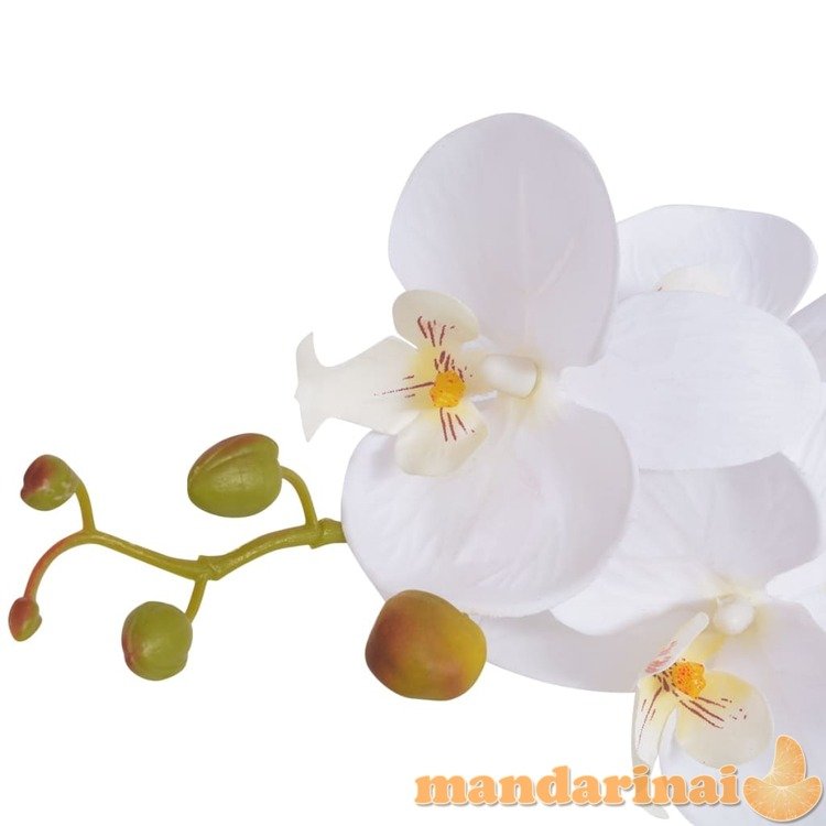 Dirbtinė orchidėja su vazonu, 65 cm, balta