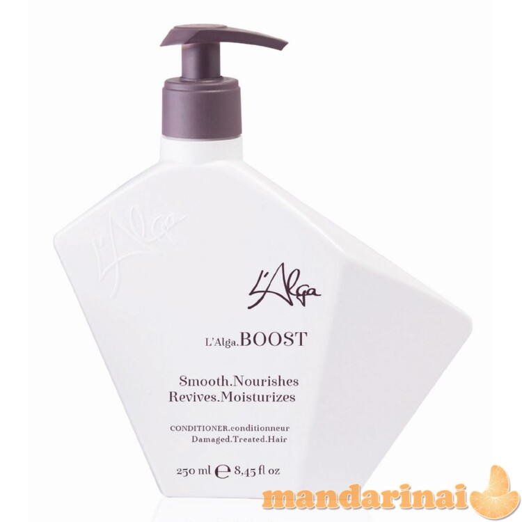 Kondicionierius plaukams, 250 ml 