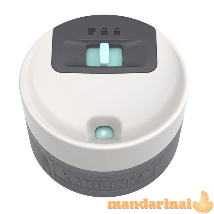 Termo puodelis Etna 500ml Eucalyptus Leaves 