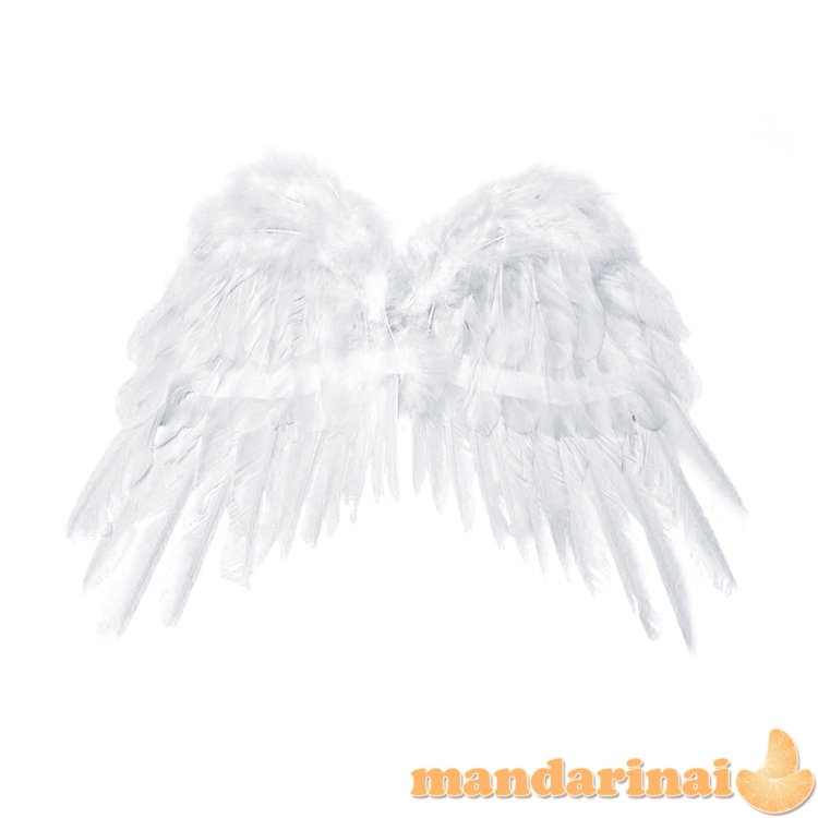 Angel s wings, white, 53 x 37cm