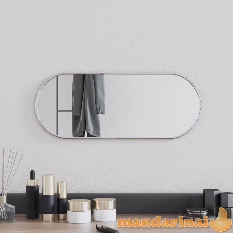Sieninis veidrodis, sidabrinės spalvos, 50x12cm, ovalo formos