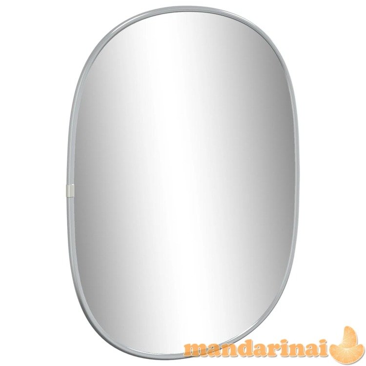 Sieninis veidrodis, sidabrinės spalvos, 40x30cm