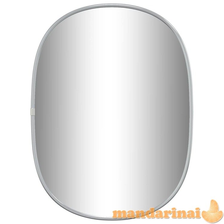 Sieninis veidrodis, sidabrinės spalvos, 40x30cm