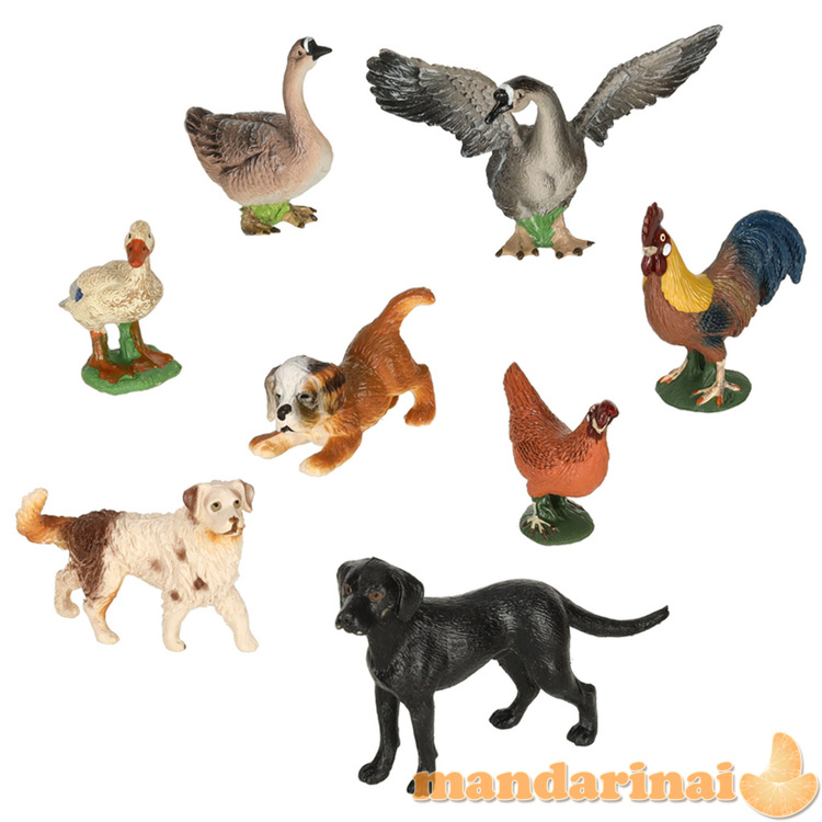 Figūros zoologijos sodo gyvūnų rinkinys iš 28 el. 3