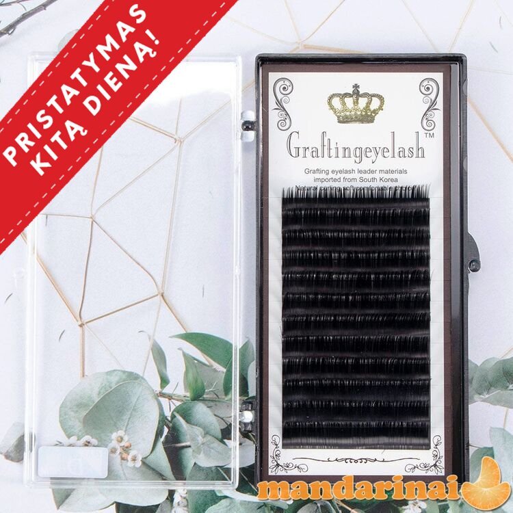 Graftingeyelash blakstienos priauginimui