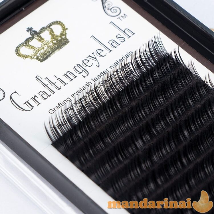 Graftingeyelash blakstienos priauginimui