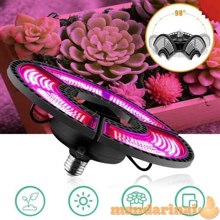 504 LED lempa augalams auginti