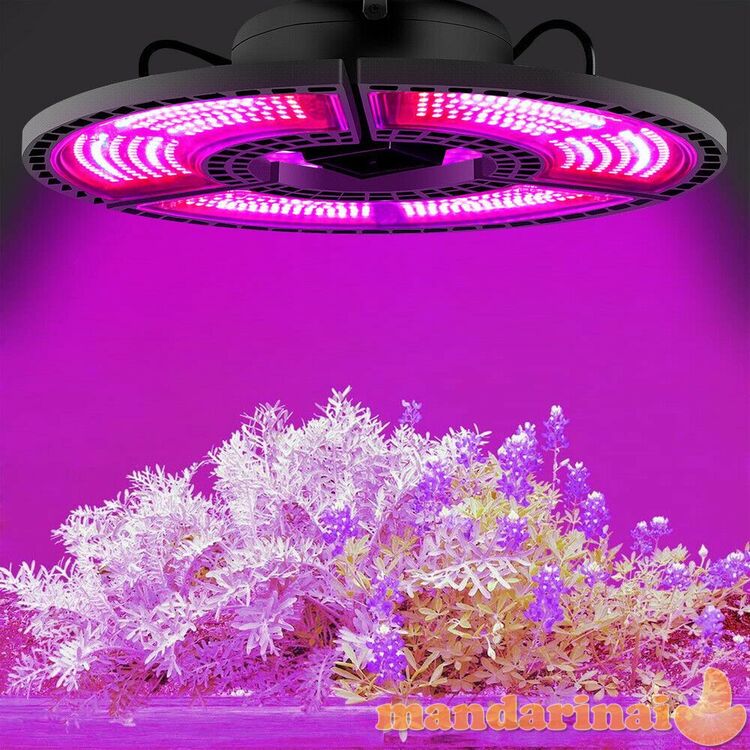 504 LED lempa augalams auginti