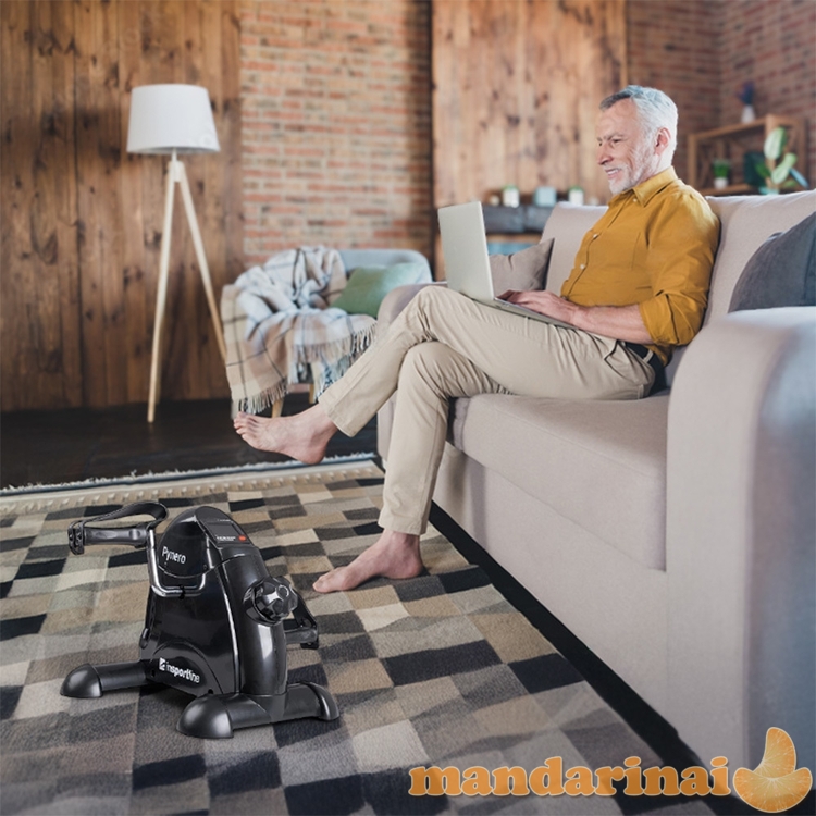 Mini Exercise Bike inSPORTline Pynero