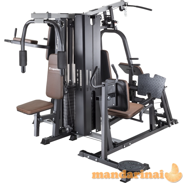 Universalus daugiafunkcis treniruoklis inSPORTline Profigym C300