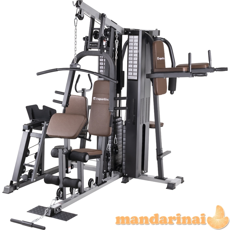 Universalus daugiafunkcis treniruoklis inSPORTline Profigym C300