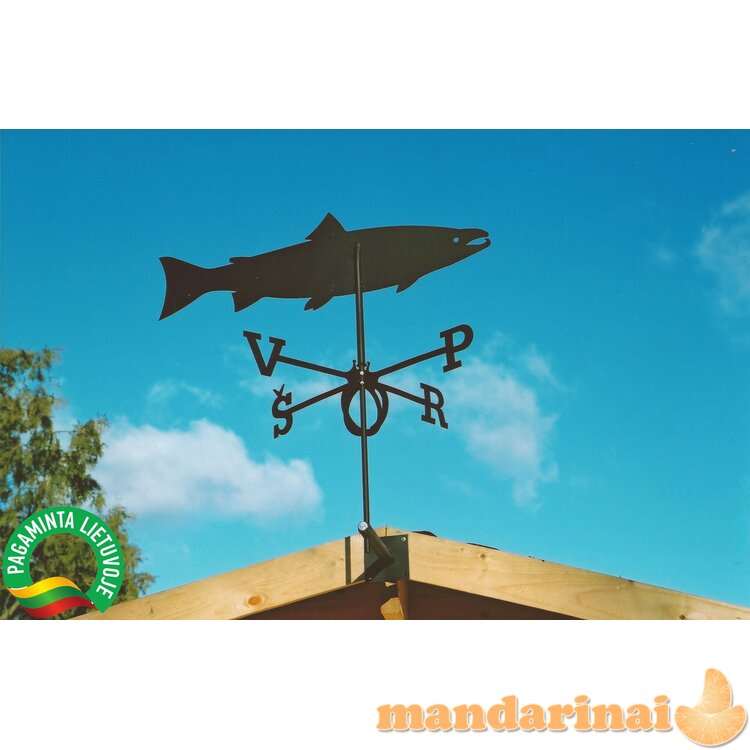 Vėjarodis ,,Lašiša