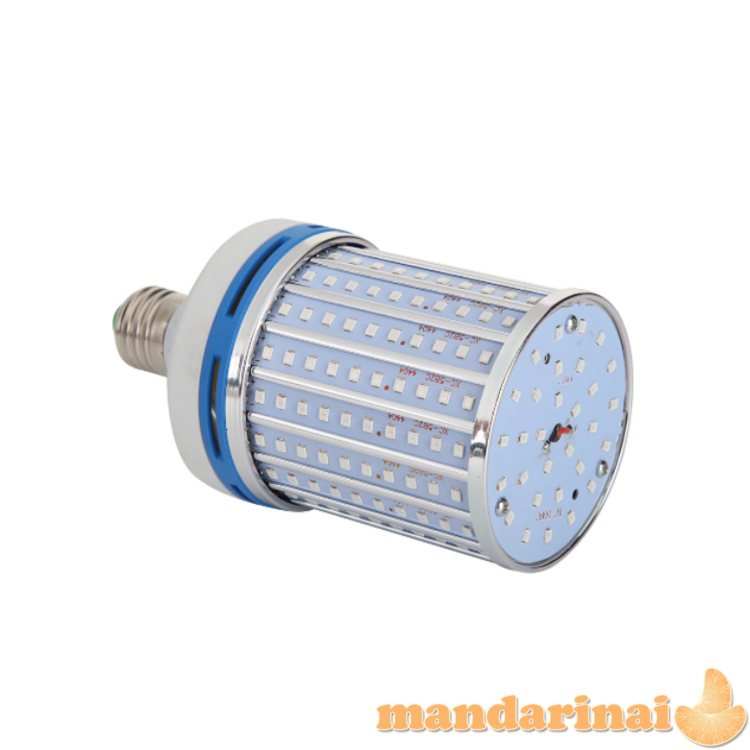 80W dezinfekcinė UV spindulių lempa