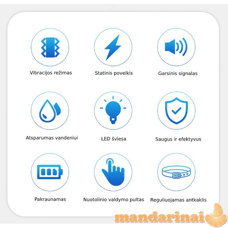 Dresavimo sistema 2 šunims