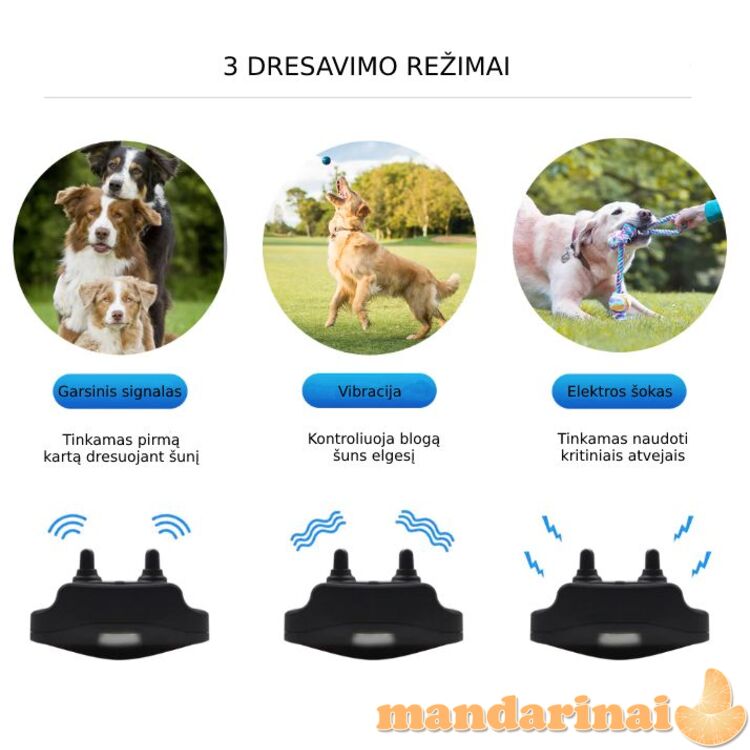 Dresavimo sistema 2 šunims