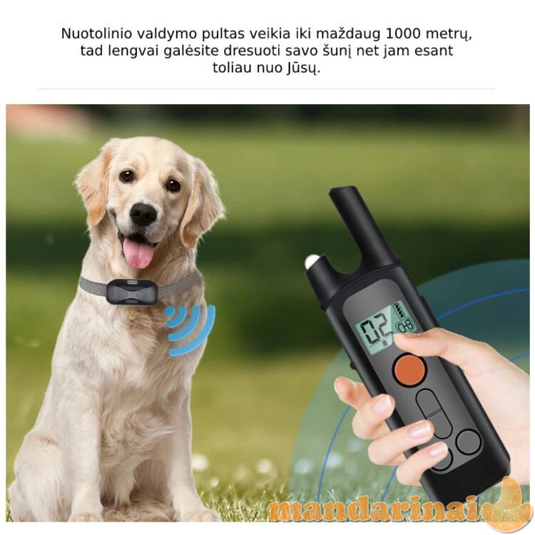 Dresavimo sistema 2 šunims