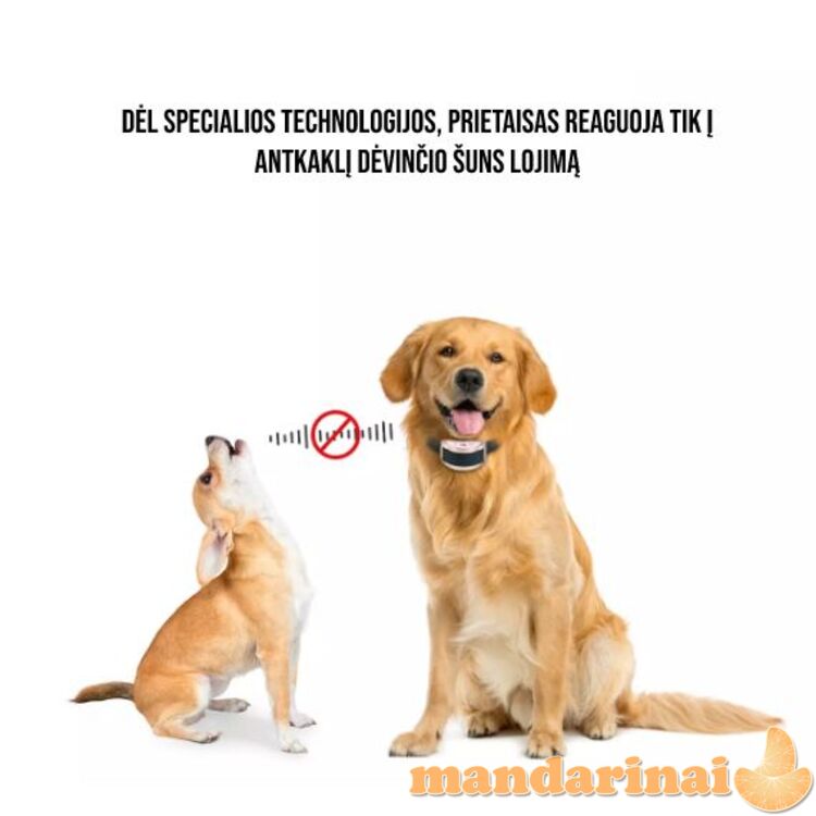 Anti lojimo antkaklis vidutinių ir mažų veislių šunims