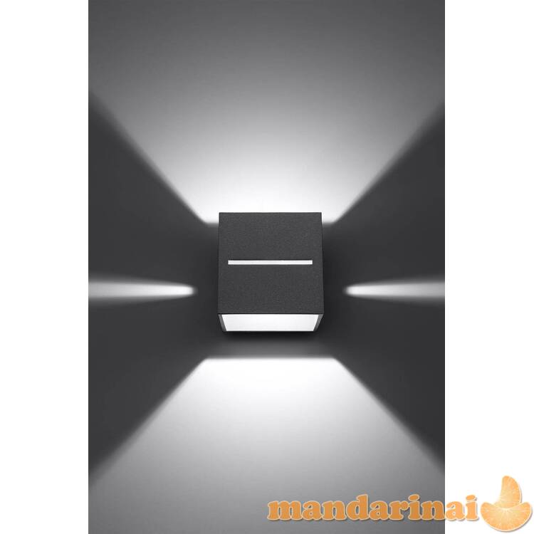 Sieninis šviestuvas Lobo pilka 3