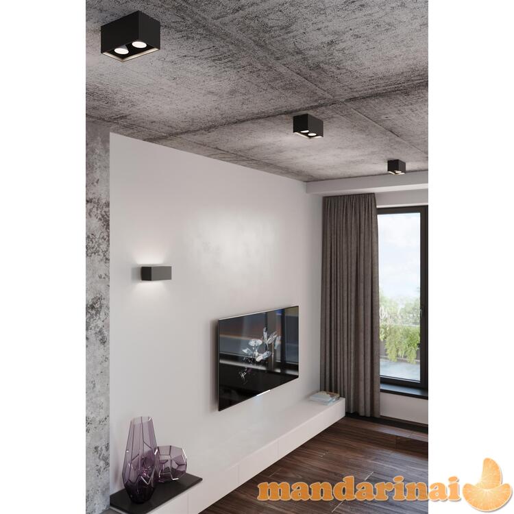 Sieninis šviestuvas QUADpilka 3