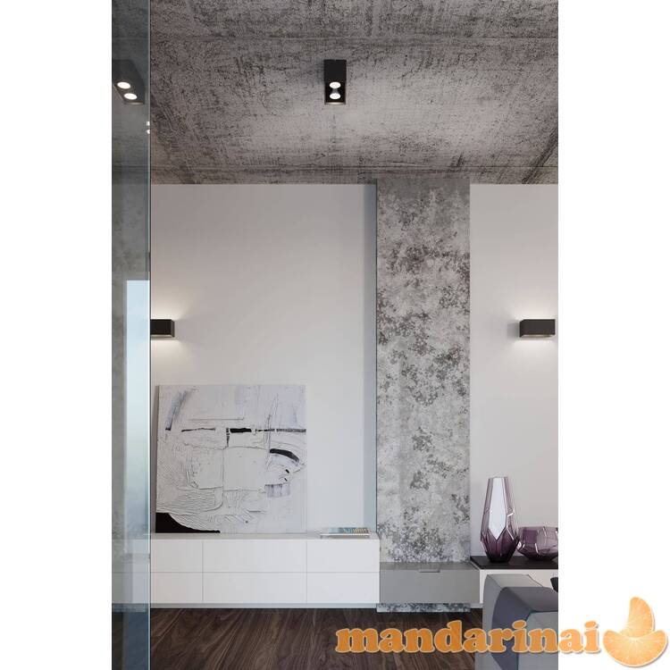 Sieninis šviestuvas QUADpilka 5