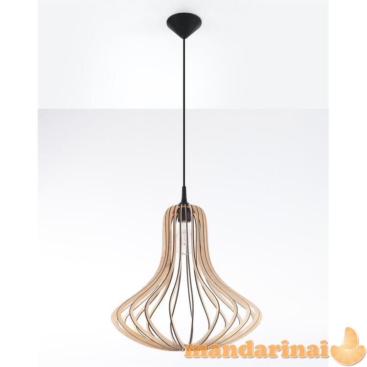 Pakabinama lempa elza mediena 1