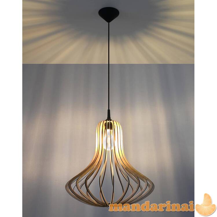 Pakabinama lempa elza mediena