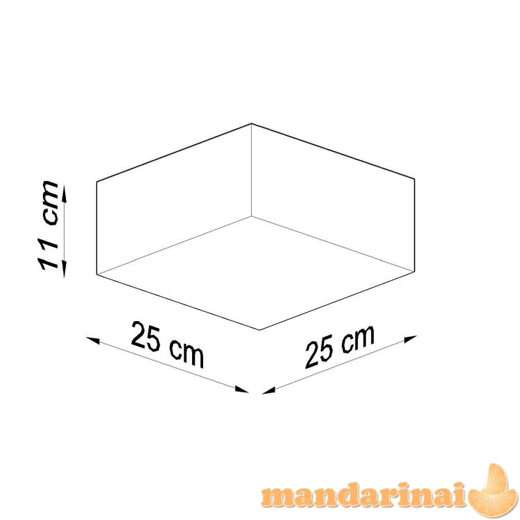 Lubinis šviestuvas horo pilka 6