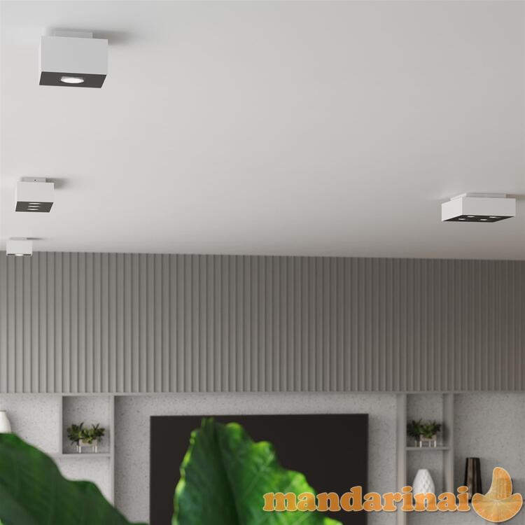 Šviestuvas mono 4 baltas 7