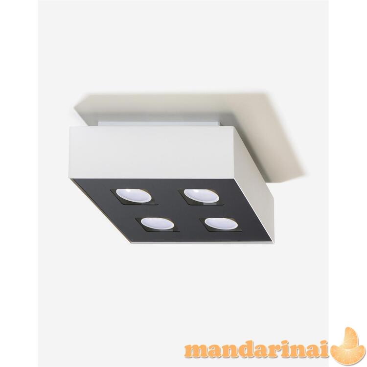 Šviestuvas mono 4 baltas 1