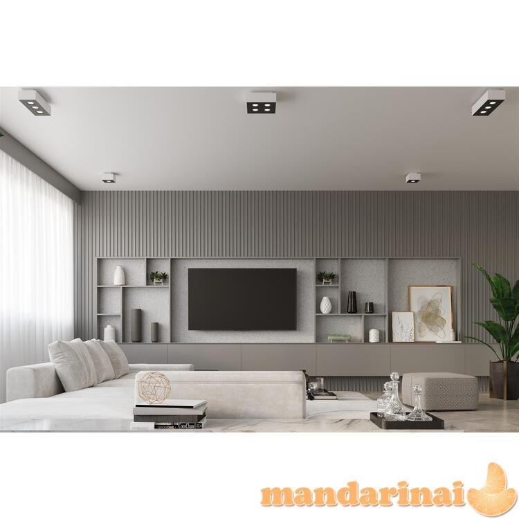 Šviestuvas mono 4 baltas 6