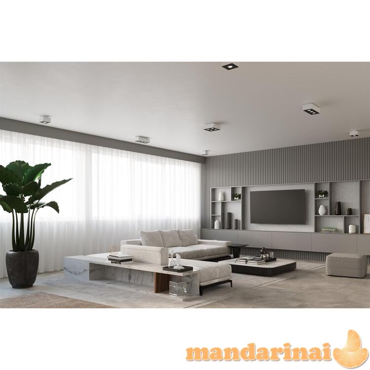 Šviestuvas mono 4 baltas 5