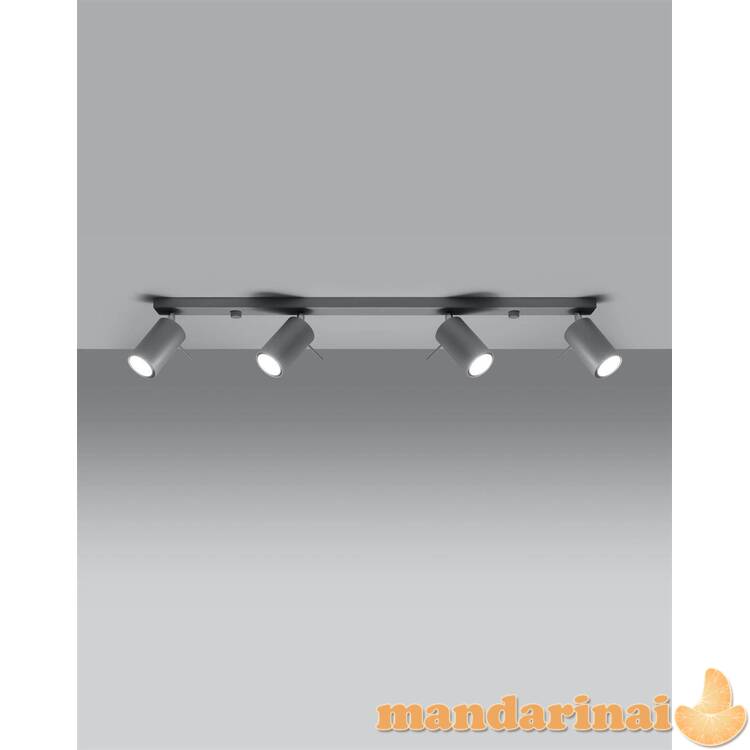 Šviestuvas žiedas 4L pilkos spalvos